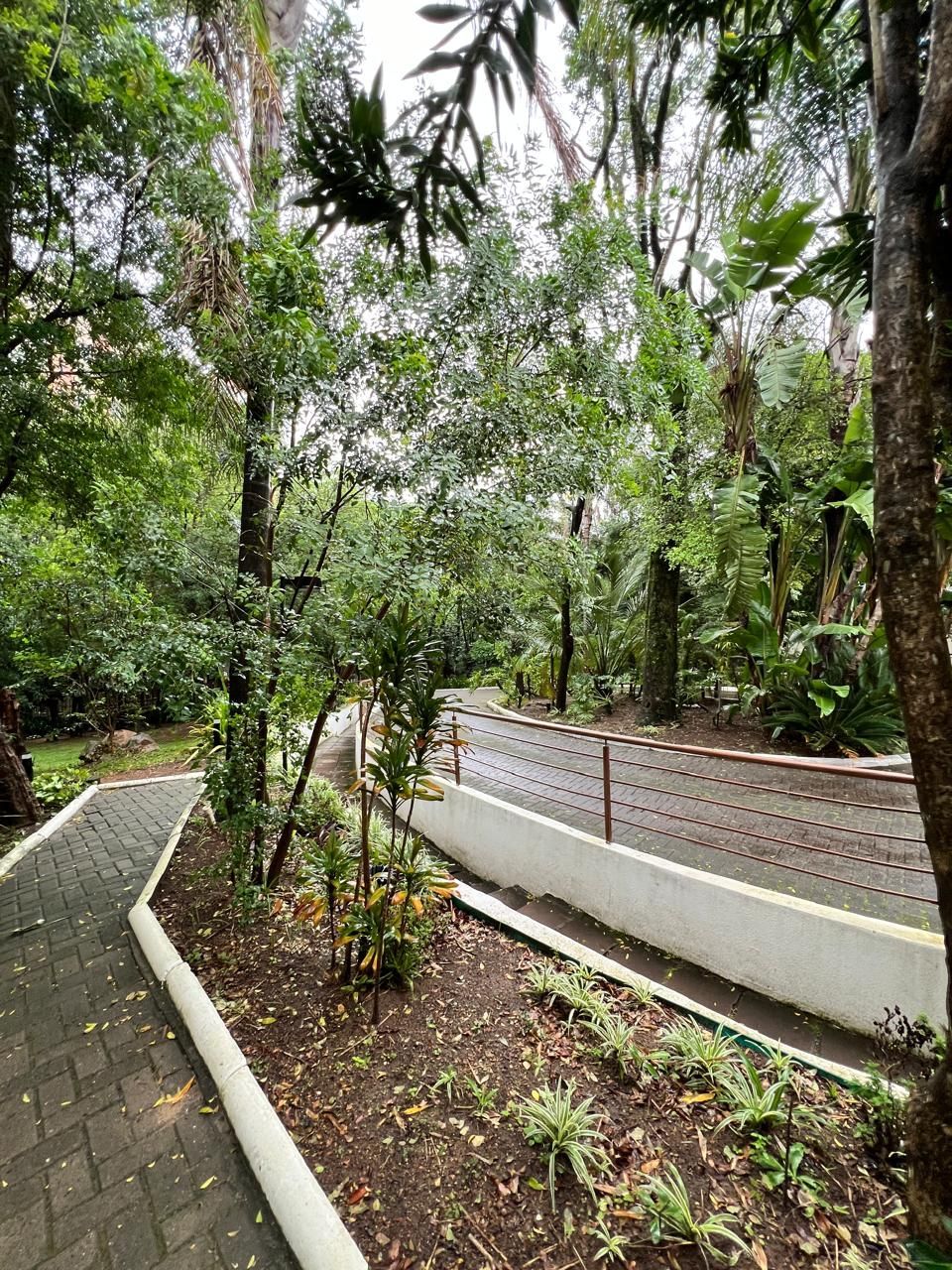 Apartamento 3 dormitórios, suíte e vista linda – Canto dos Pássaros, POA — foto 36