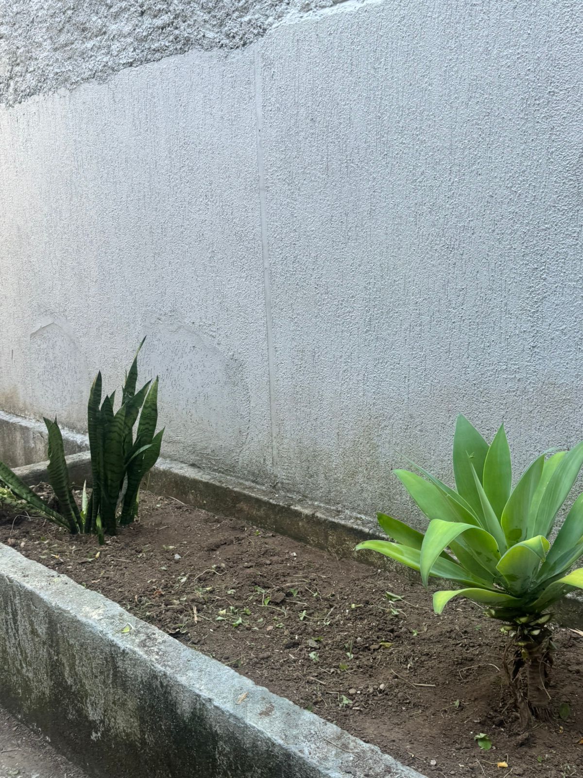 APARTAMENTO 2 DORMITÓRIOS BAIRRO NONOAI PORTO ALEGRE — foto 15