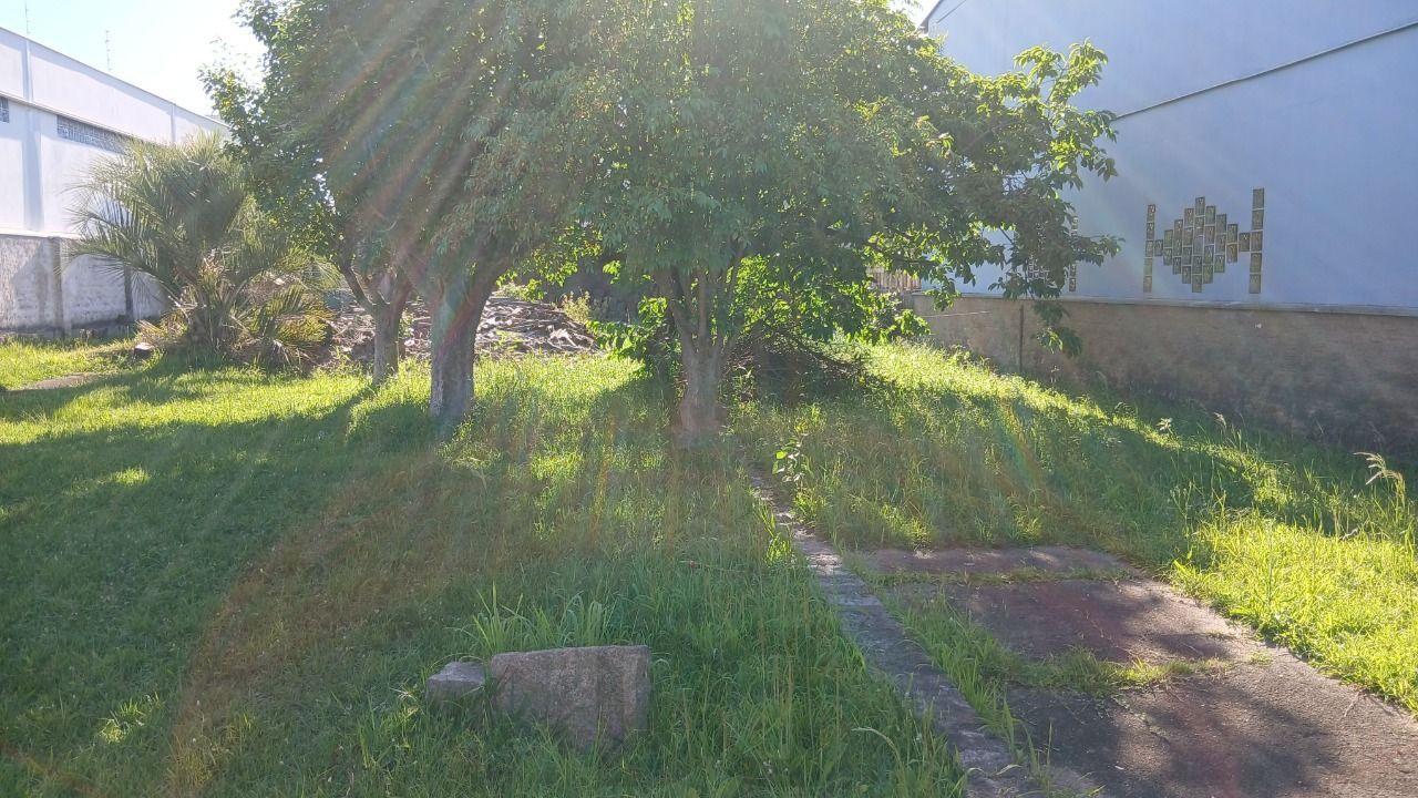 — foto 14