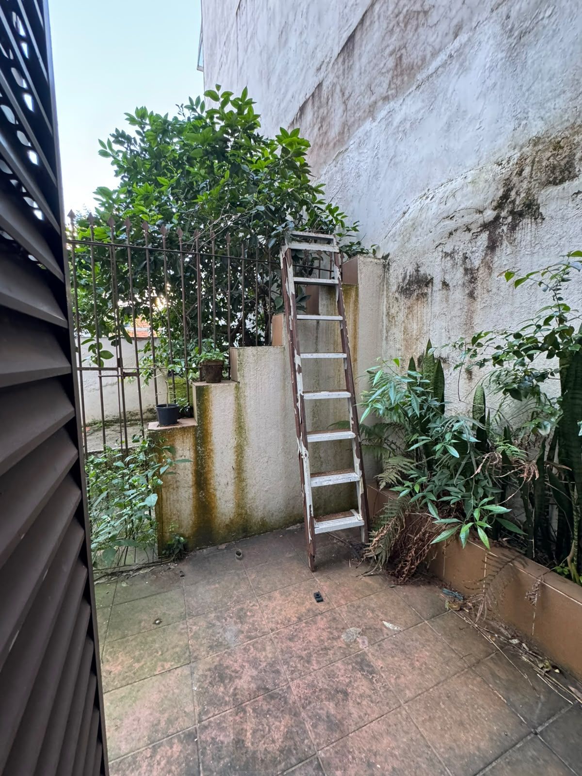 Apartamento no Centro Histórico com sacada — foto 20