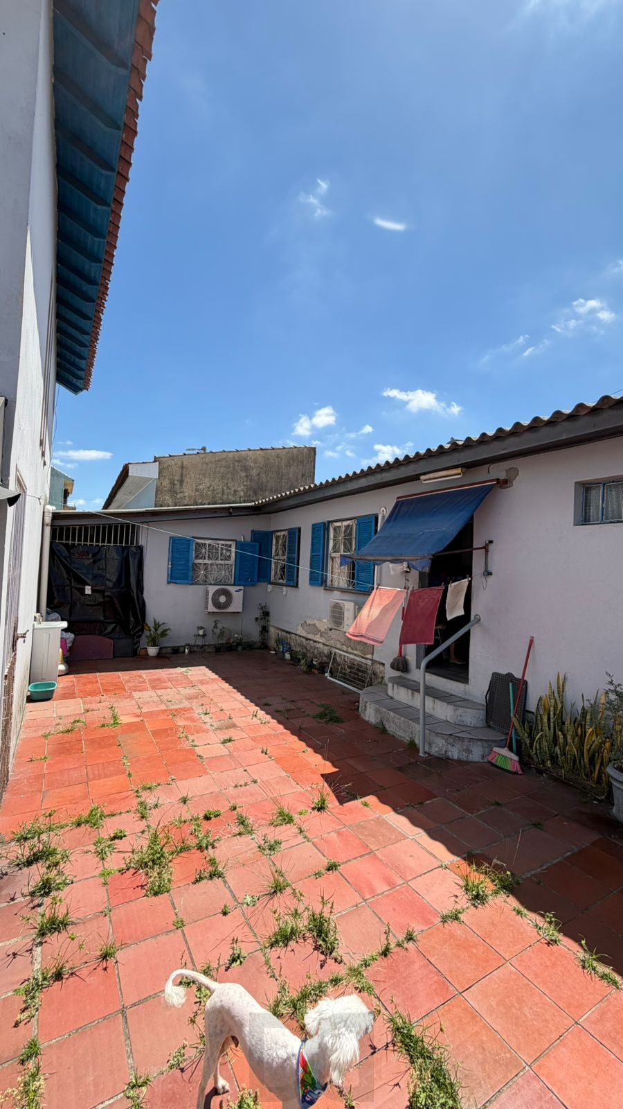 Imóvel com potencial comercial na avenida Alberto Pasqualini – Jardim Itu-Sabará — foto 15
