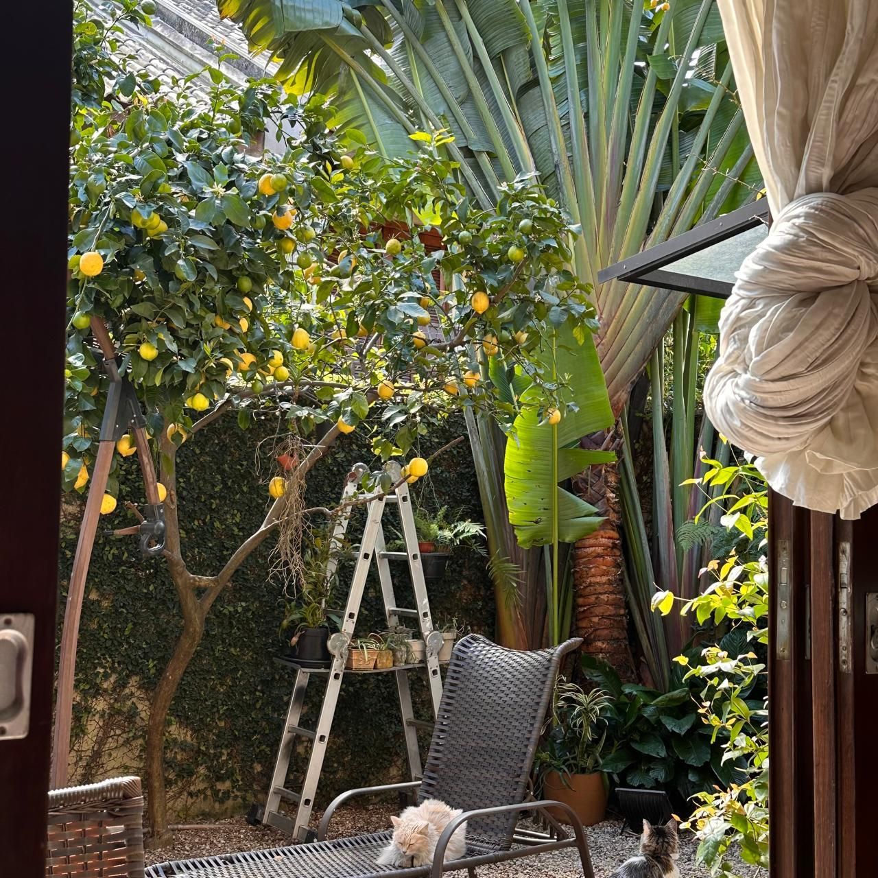 — foto 10