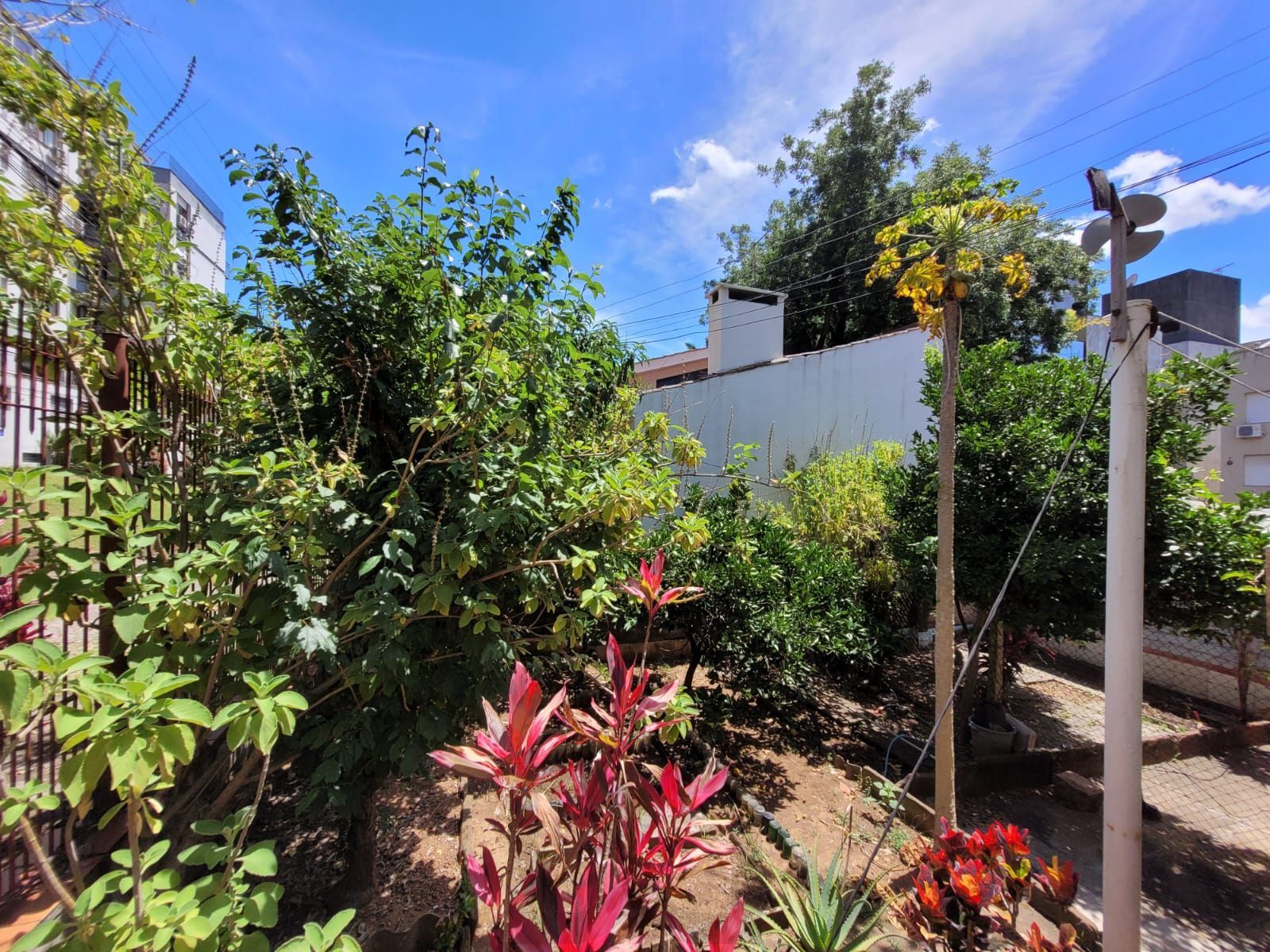 Casa térrea com garagem no subsolo e anexo — foto 4