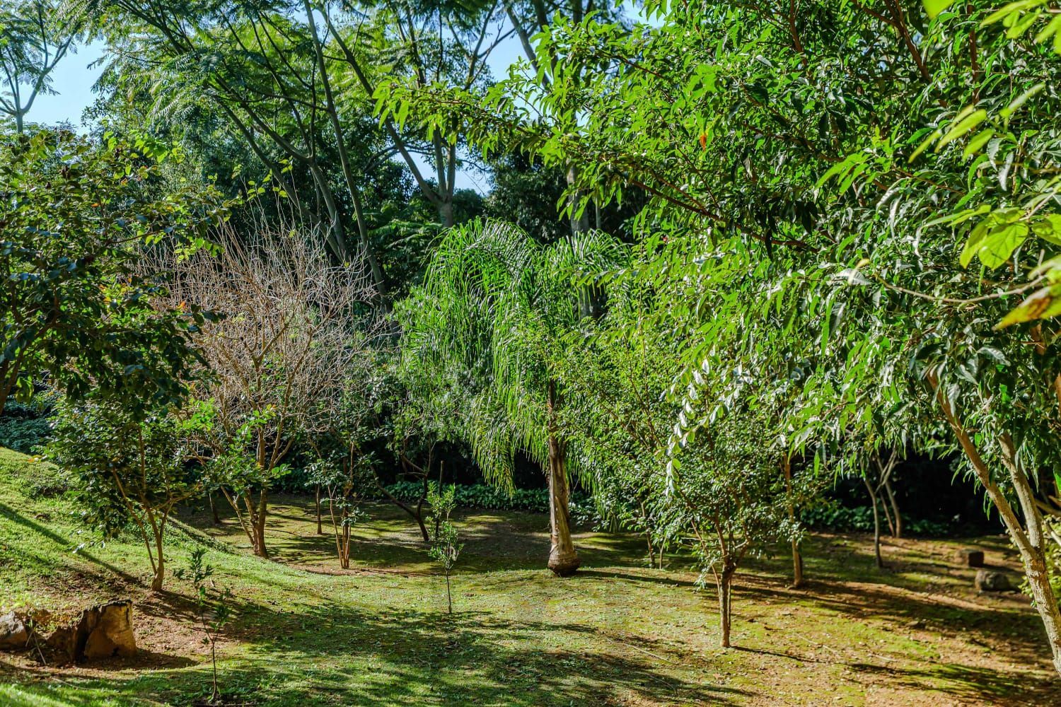Apartamento 3 Dormitórios com 2 Suítes e 2 Vagas à Venda no Nonoai, Porto Alegre — foto 31