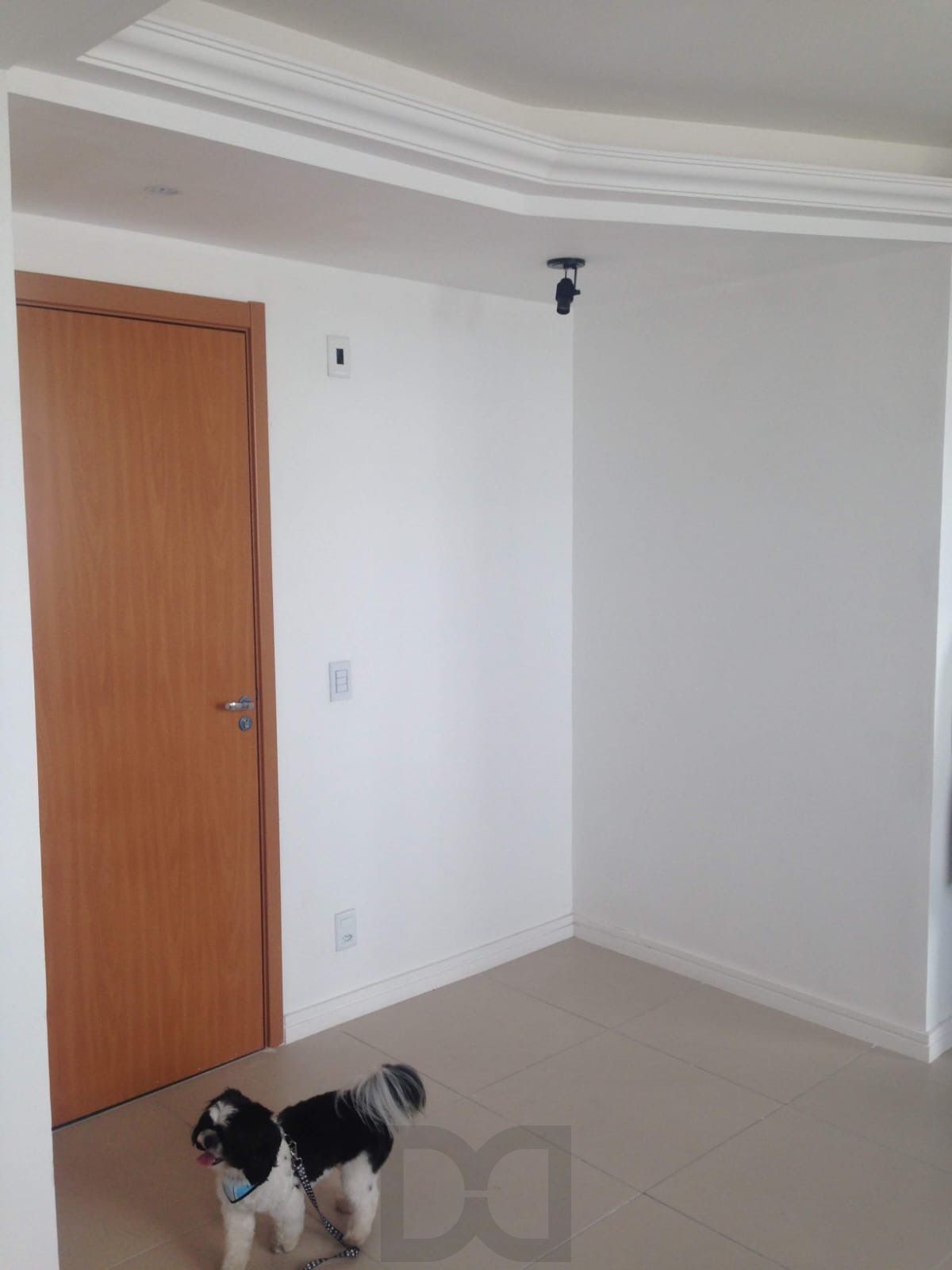Apartamento 2 quartos condomínio 1 vaga Garagem, piscina e infra completa — foto 17