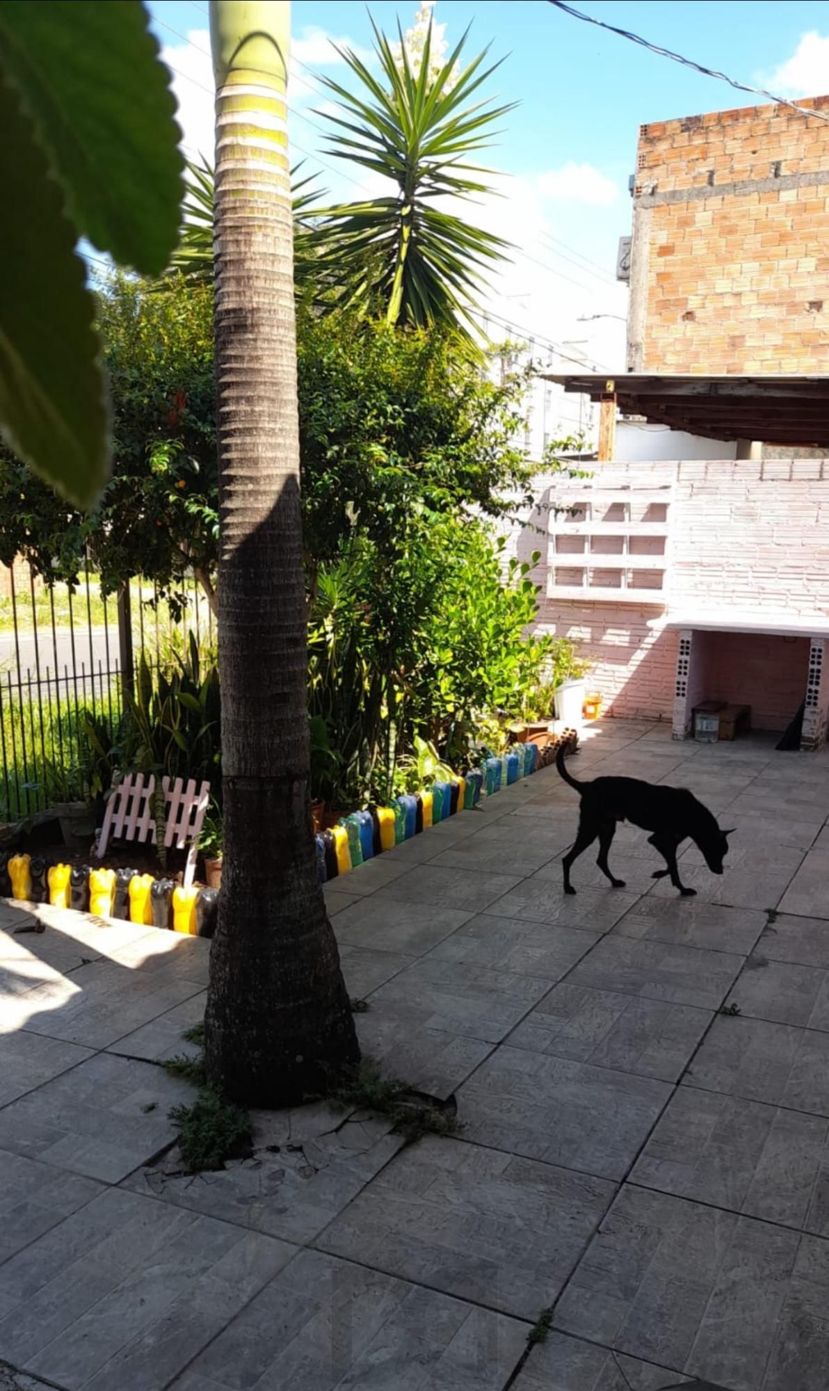 Casa Comercial Residencial 3 dormitórios 1 vaga Jardim Leopoldina Porto Alegre — foto 6