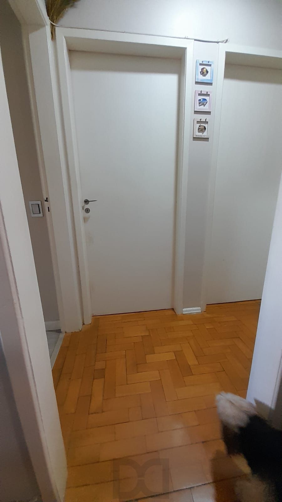 Apartamento à Venda com 3 Quartos e Vaga Coberta no Cristo Redentor — foto 21