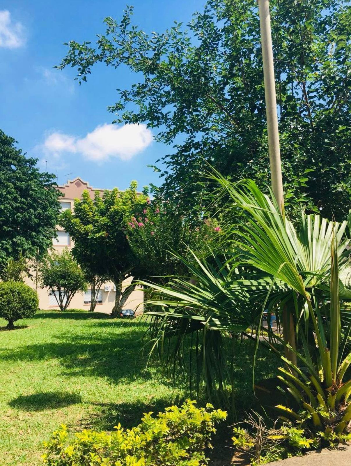 Apartamento térreo de 2 dormitórios bairro Morro Santana — foto 10