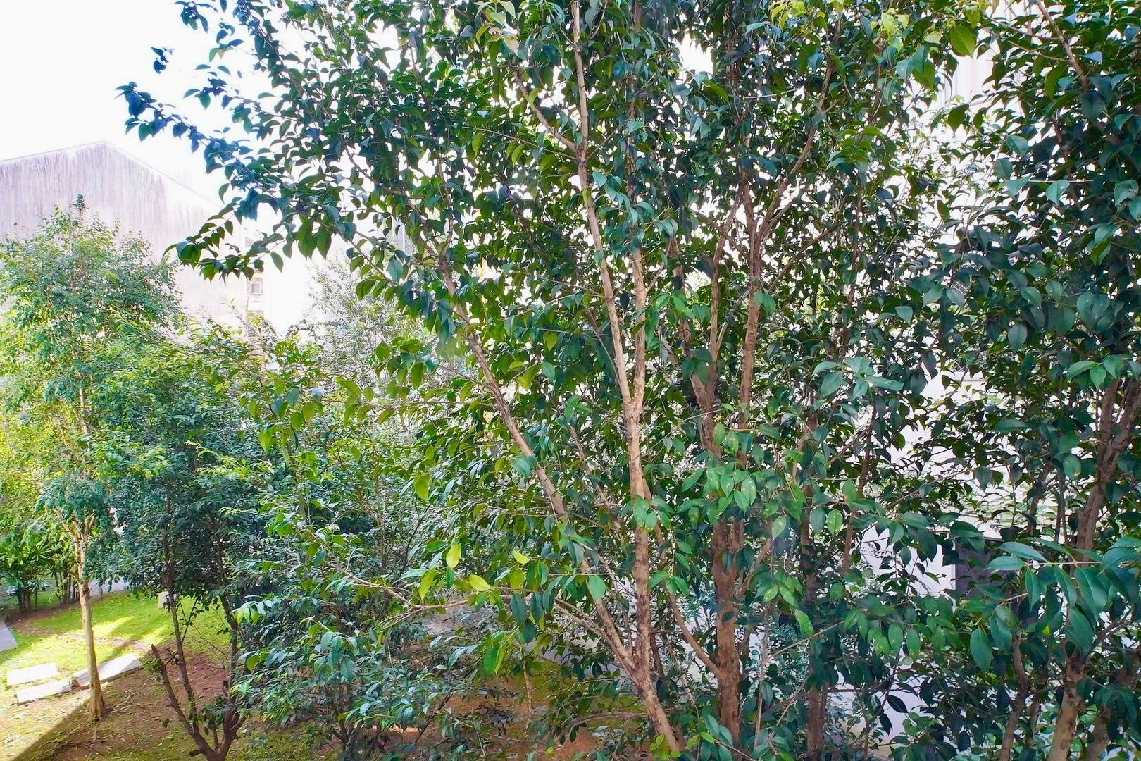 Apartamento térreo de 1 dormitório com 1 vaga coberta e fixa Bairro Santa Fé — foto 24