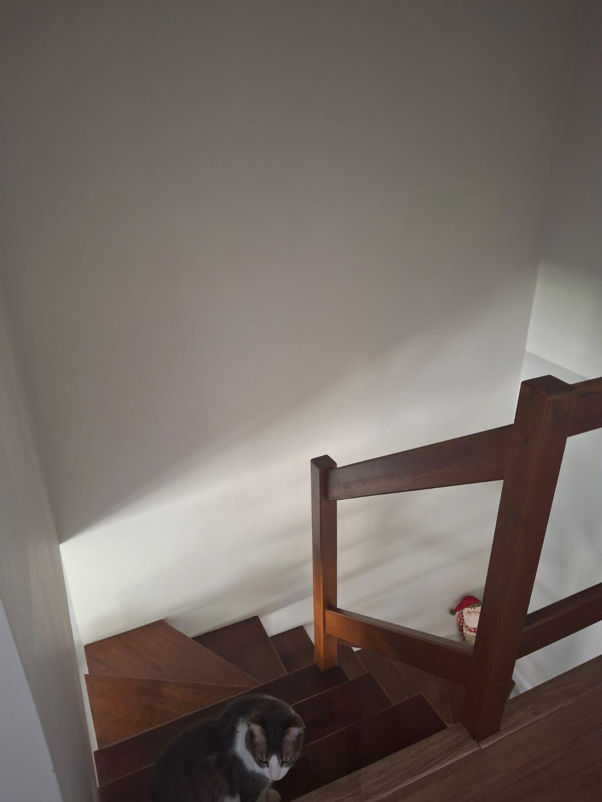 Casa em condomínio fechado de 3 dormitórios e 2 vagas no bairro Parque Santa Fé — foto 16