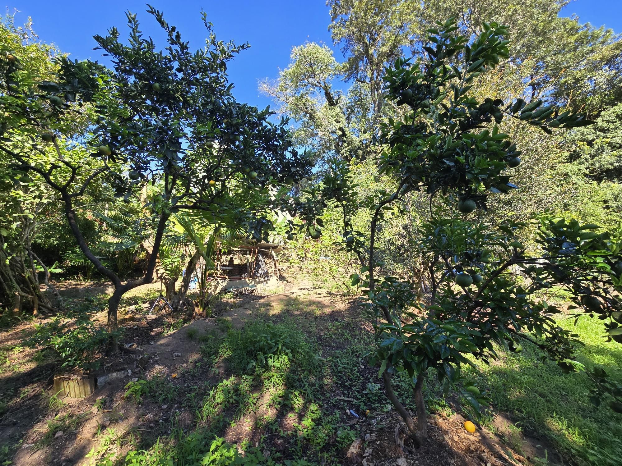 Casa 3 dormitórios, 1 suíte, 4 vagas 210 m² privativos no Belém Novo. — foto 76