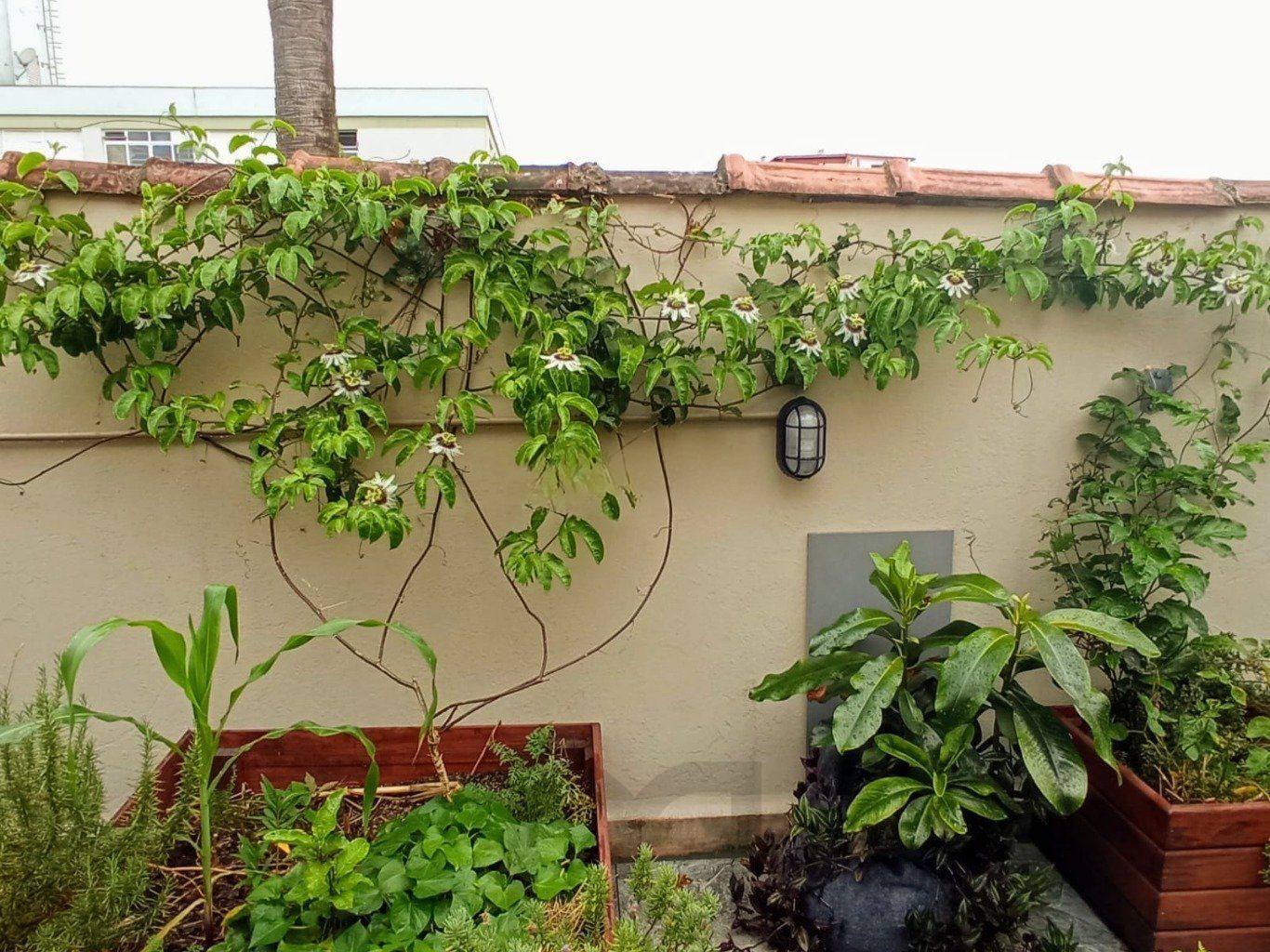 Apartamento de 1 dormitório no bairro Menino Deus em Porto Alegre. — foto 21