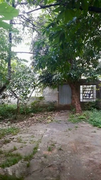 Excelente Terreno de 373m² no Bairro Jardim BotâNico Porto Alegre — foto 5