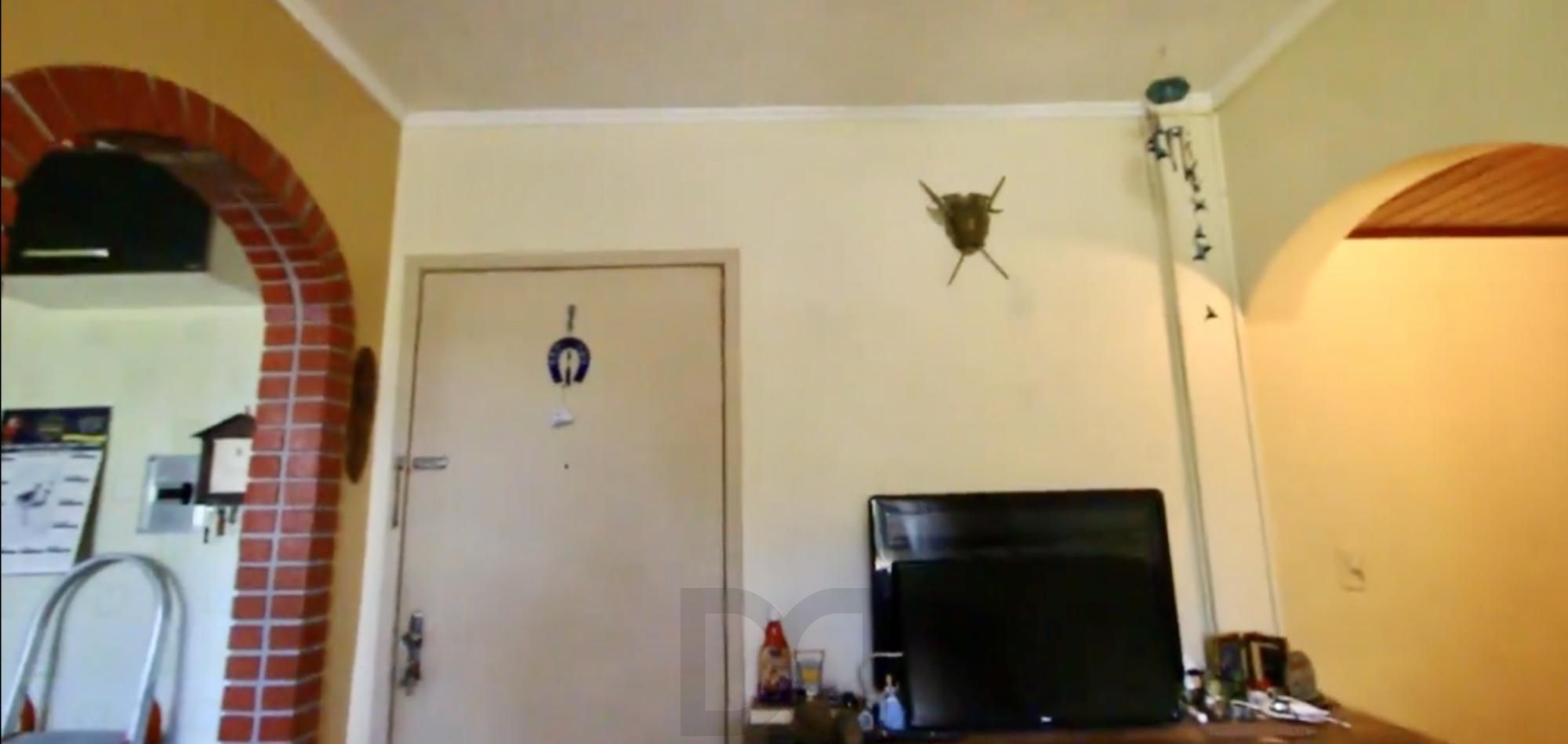 Apartamento de 2 dormitórios Segundo andar Bairro Camaqua em Porto Alegre — foto 32
