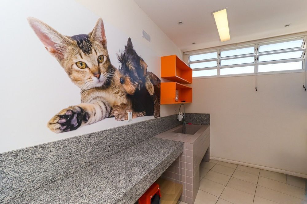 Apartamento de 3 quartos, suíte, elevador e 1 vaga no bairro Azenha — foto 31