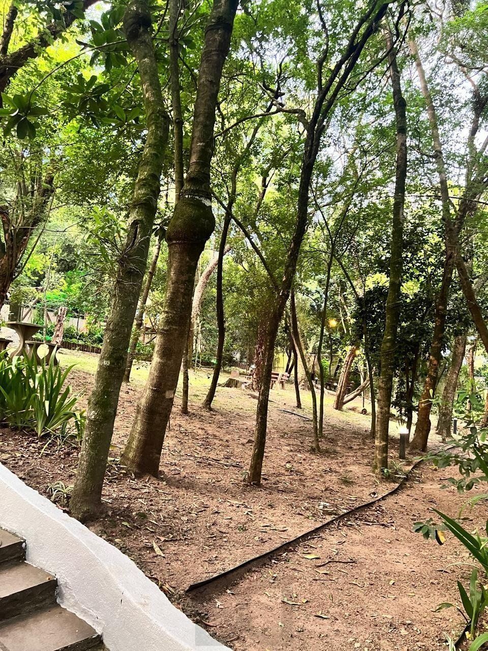Apartamento 2 Dormitórios, com Elevador e Vaga no Morro Santana — foto 15