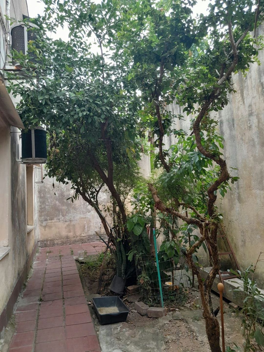 Apartamento 2 dormitórios, 117m² com vaga no Sarandi em Porto Alegre — foto 6