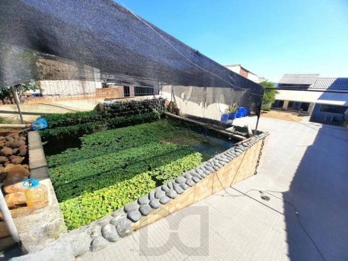Casa de 4 quartos,suíte,churrasqueira no bairro Nonoai — foto 20
