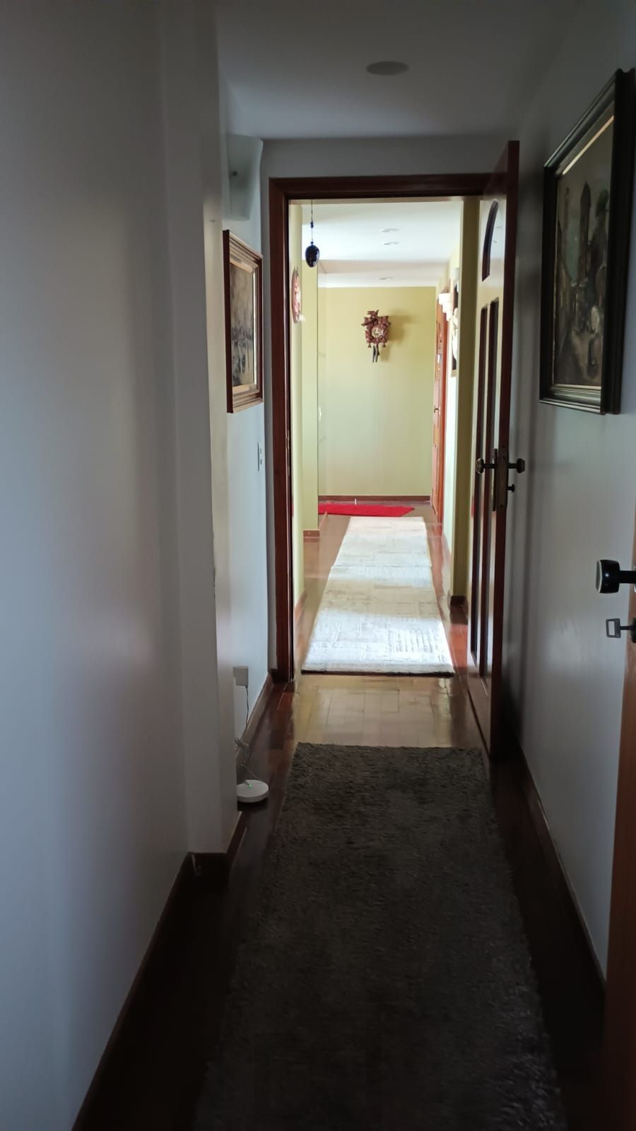Apartamento com 3 quartos, elevador no Bairro jardim Botânico em Porto Alegre. — foto 25