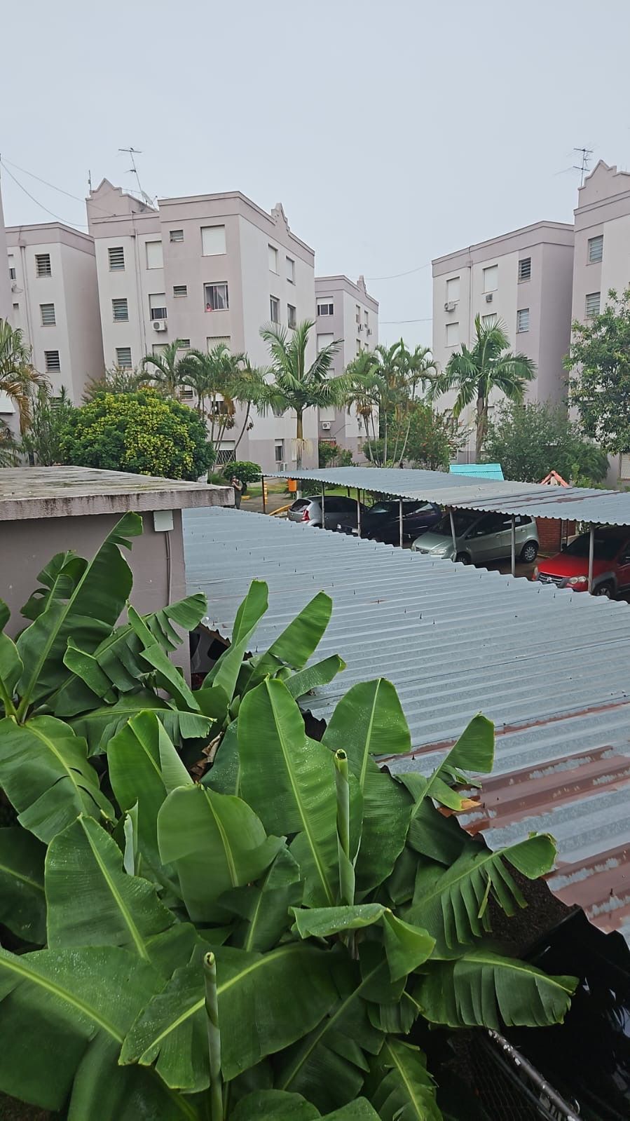 Apartamento 1 dorm Morro Santana em frente ao Gecepel Avenida Protásio — foto 34
