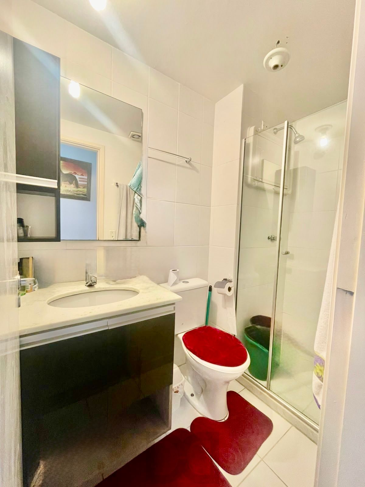 Apartamento 2 quartos 1 vaga no Bairro Jardim Planalto na Av. Ary Tarrago — foto 40