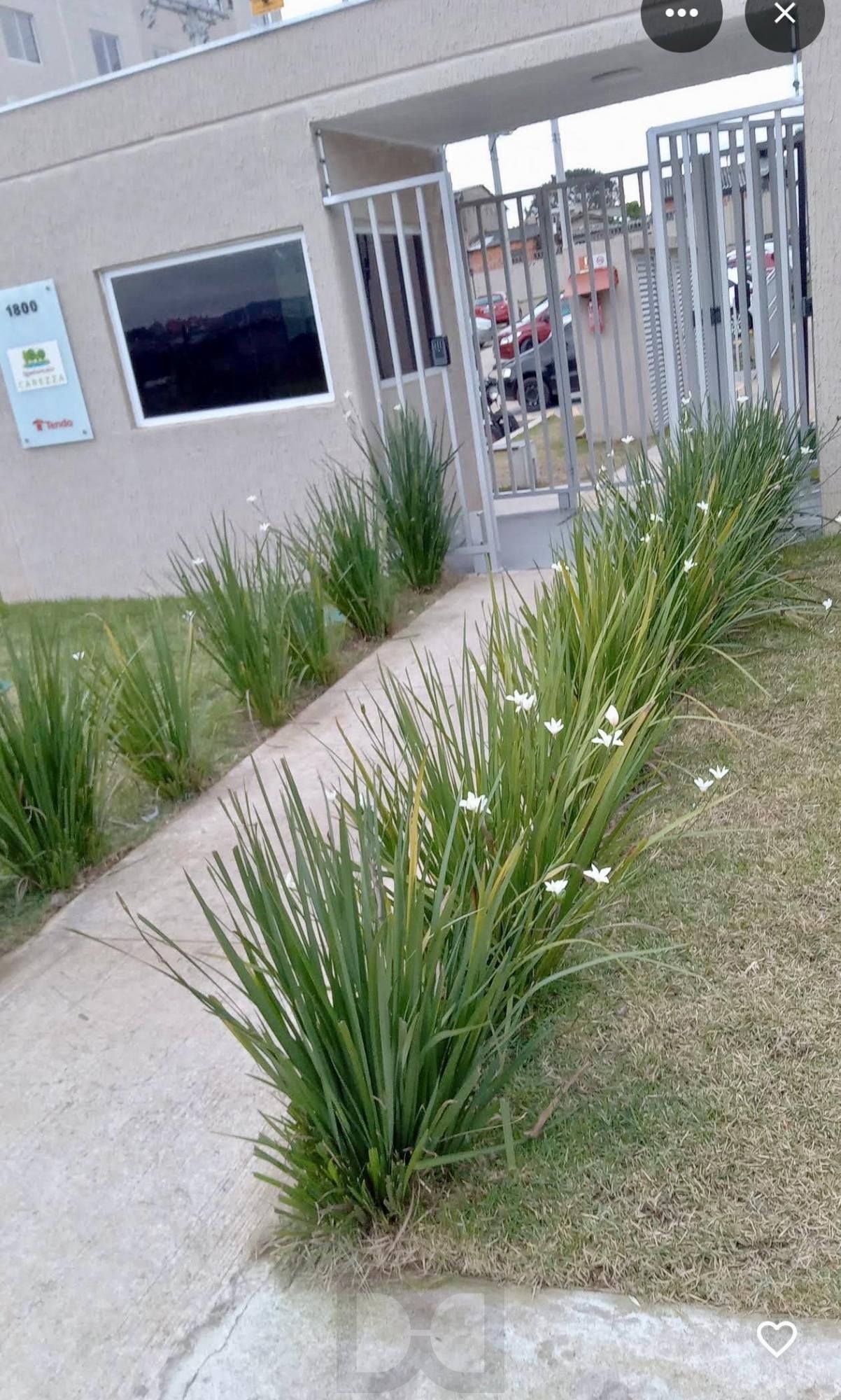 Apartamento 2 quartos no Bairro Passo Das Pedras em Porto Alegre para Comprar — foto 31