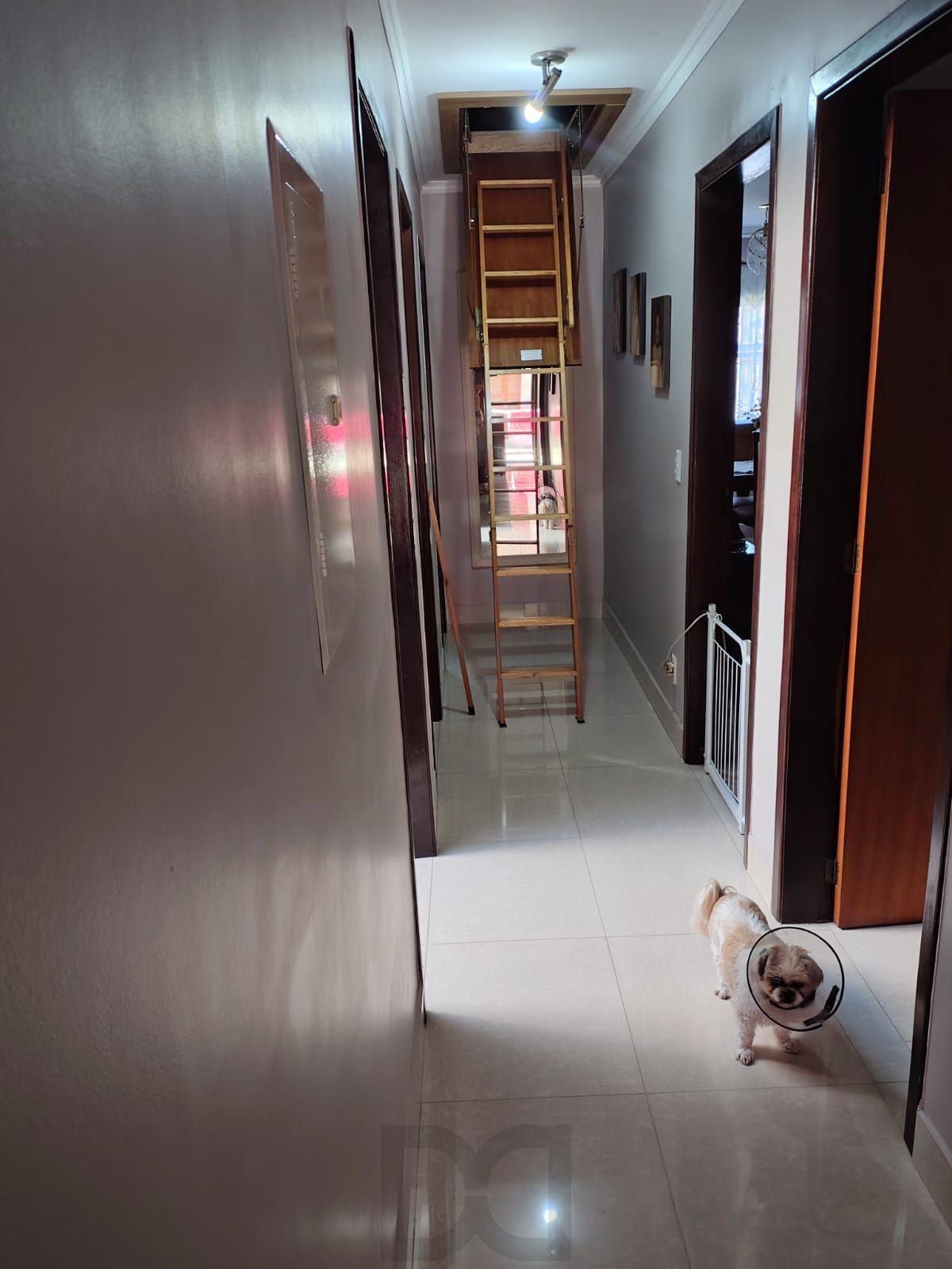 Casa de 3 quartos,suíte,churrasqueira, 3 vagas no bairro Sarandi — foto 43