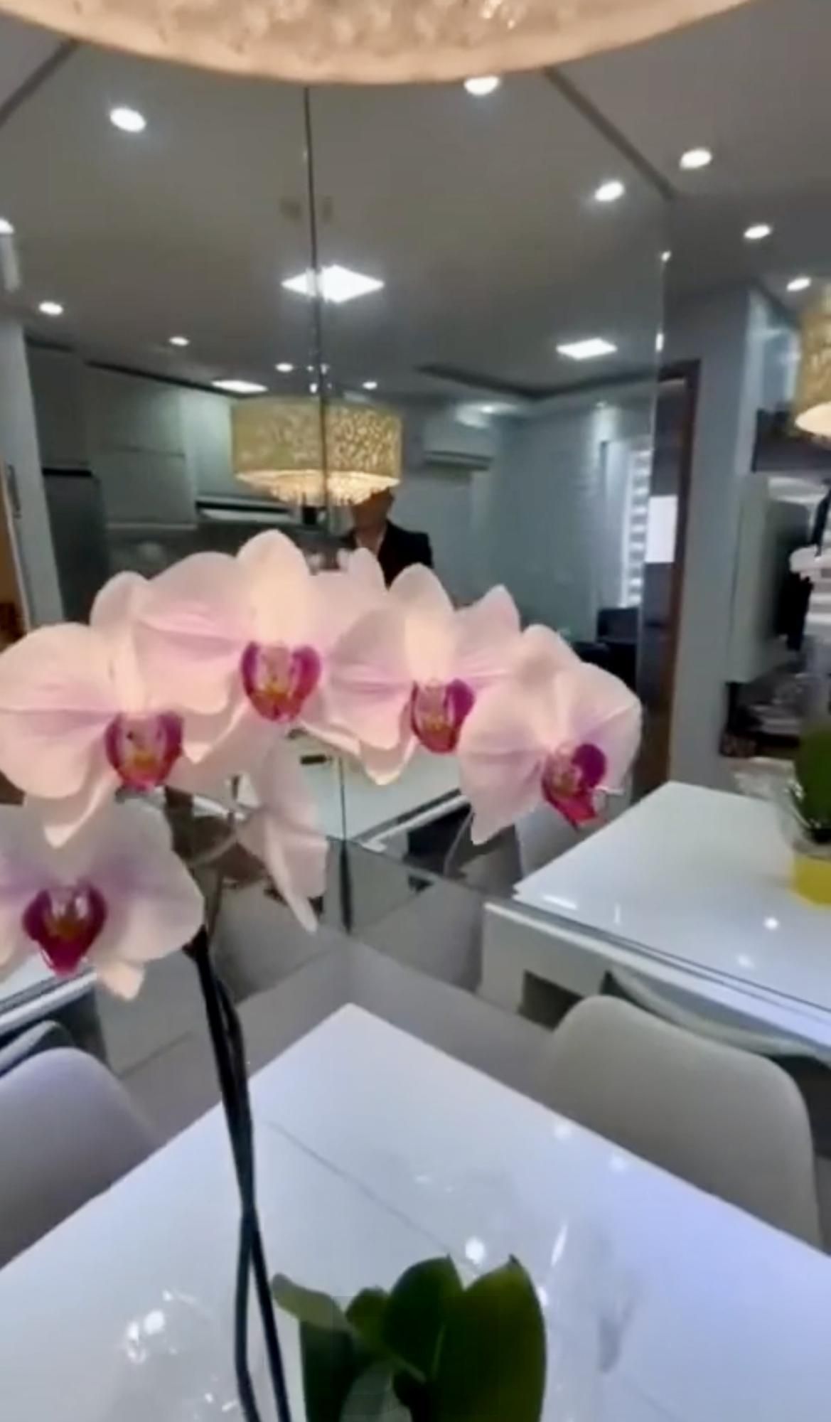 Apartamento com Sacada Linda Vista Morro Santana com 1 vaga de garagem — foto 10