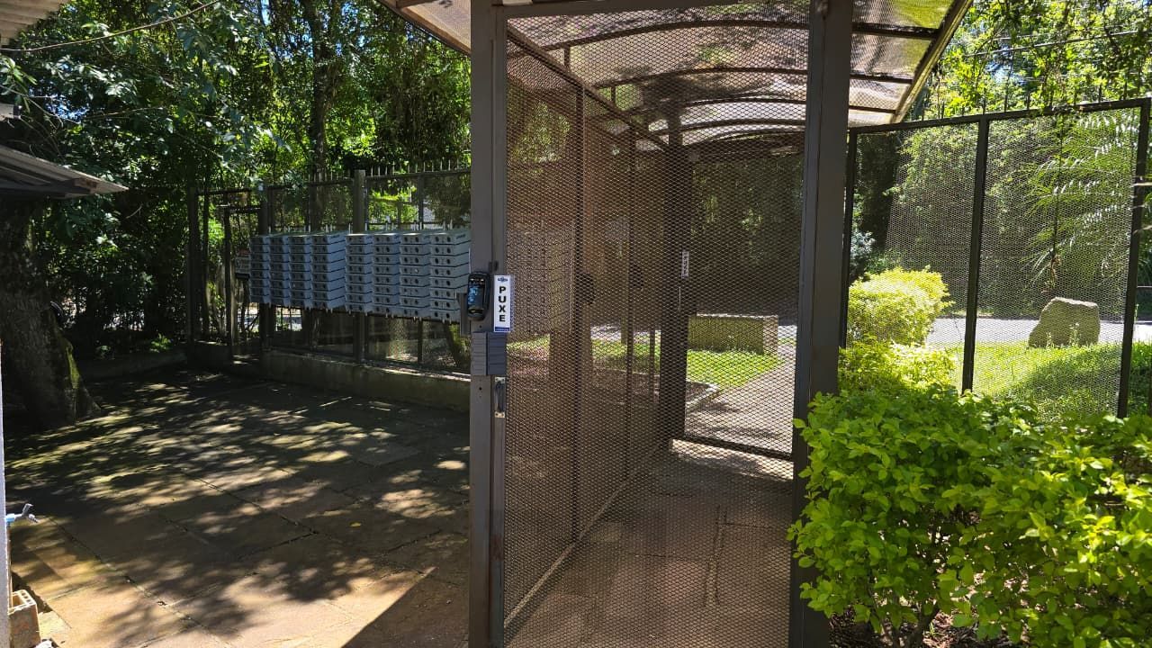 Apartamento com 2 quartos, portaria 24hr e vaga no bairro Lomba do Pinheiro — foto 16