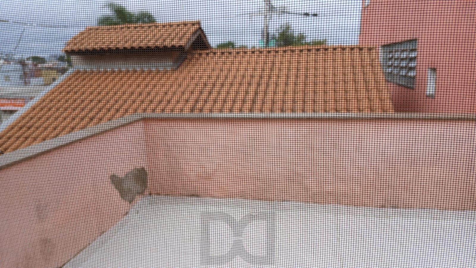 Casa de 3 dormitórios, 1 suíte, 2 vagas, churrasqueira e pátio no Navengantes. — foto 28