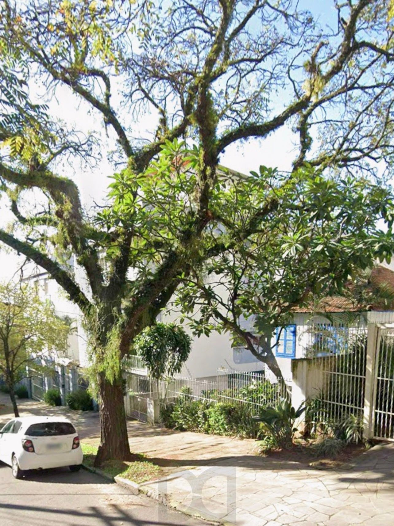 Terreno de 11x 60 no Bairro Higienópolis Entre Rua Portugal e Luzitana — foto 17