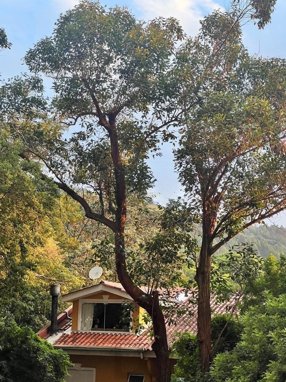 Apartamento 2 Dormitórios, com Elevador e Vaga no Morro Santana — foto 19