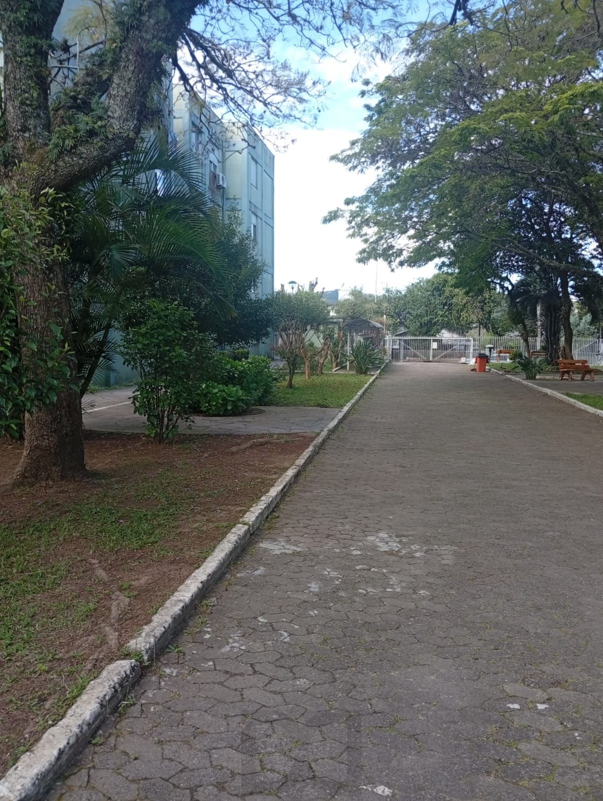 — foto 3