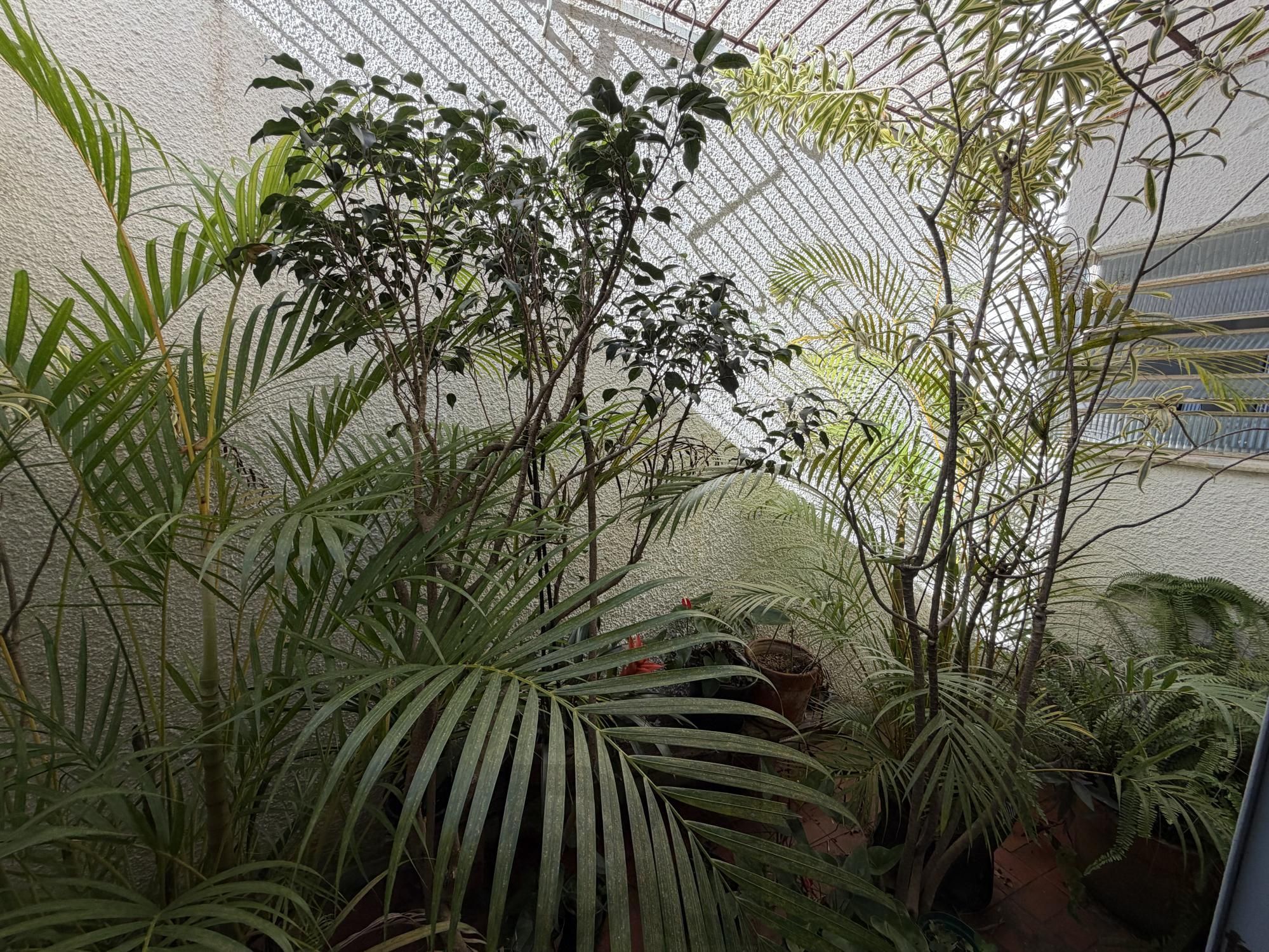 Casa na Vila Assunção — foto 27