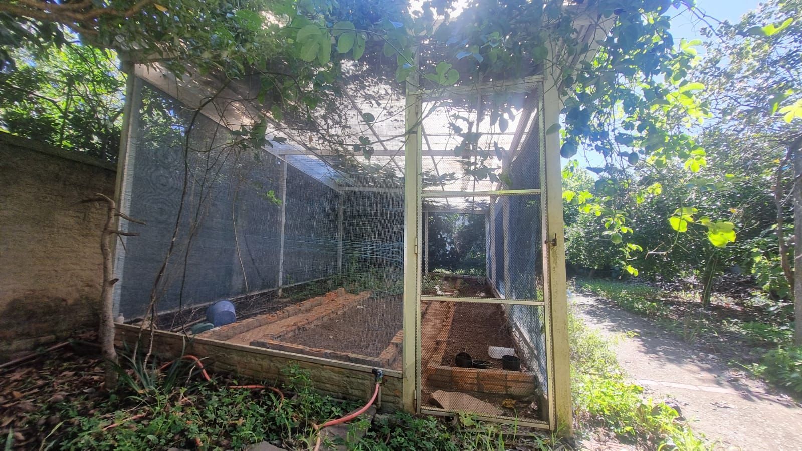 Ótima Residência com 5 dormitórios e 2 suítes. Bairro Santa Tereza. — foto 43