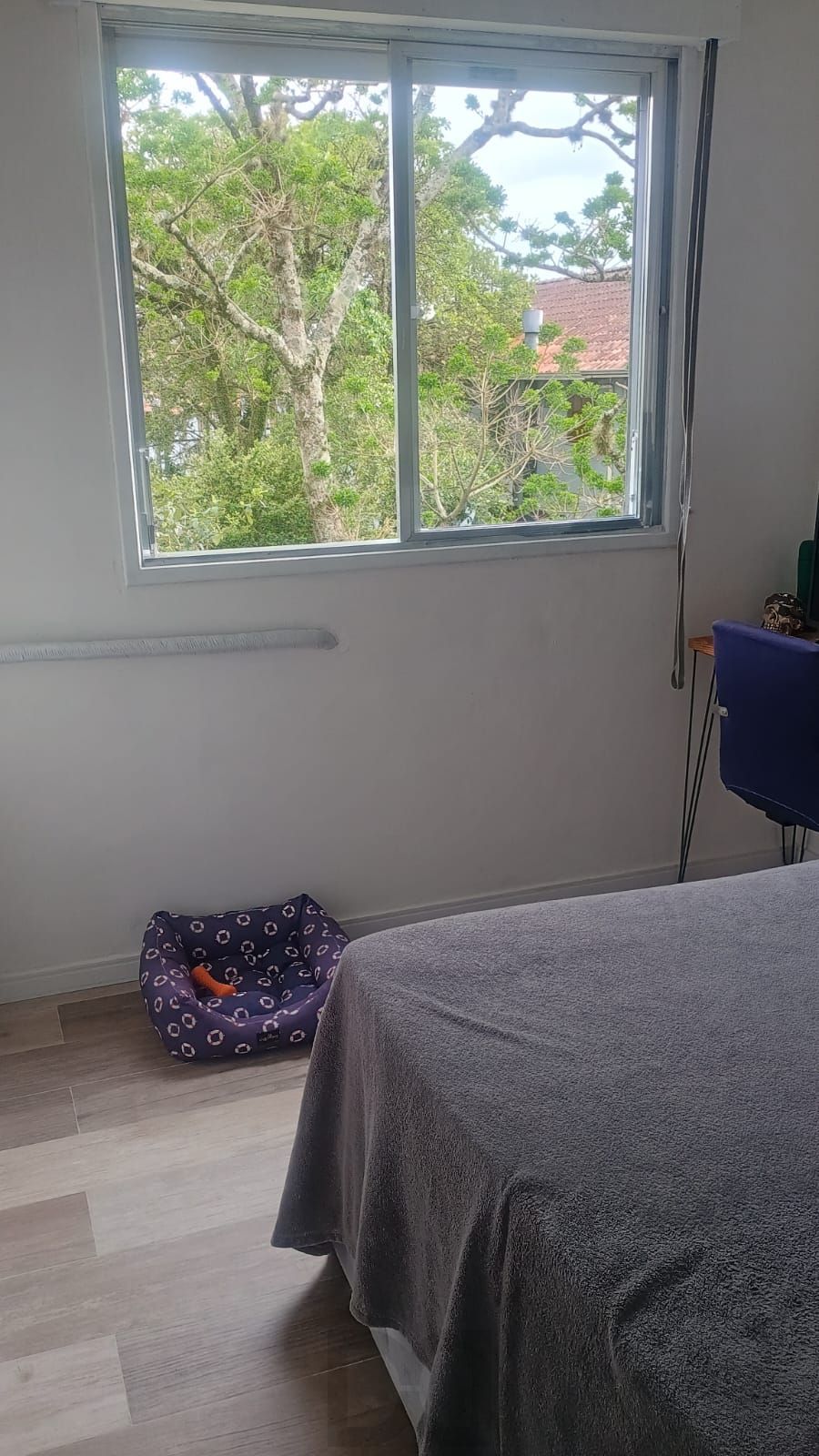 Excelente apartamento de 2 dormitórios no bairro Camaquã. — foto 18