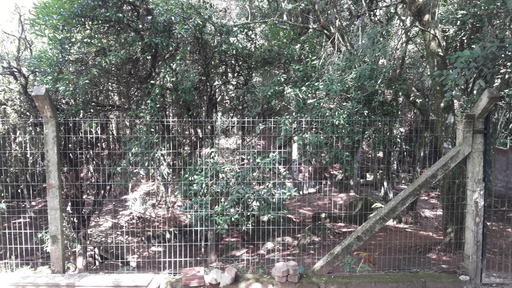Ótima chacará em localização privilegiada. — foto 54