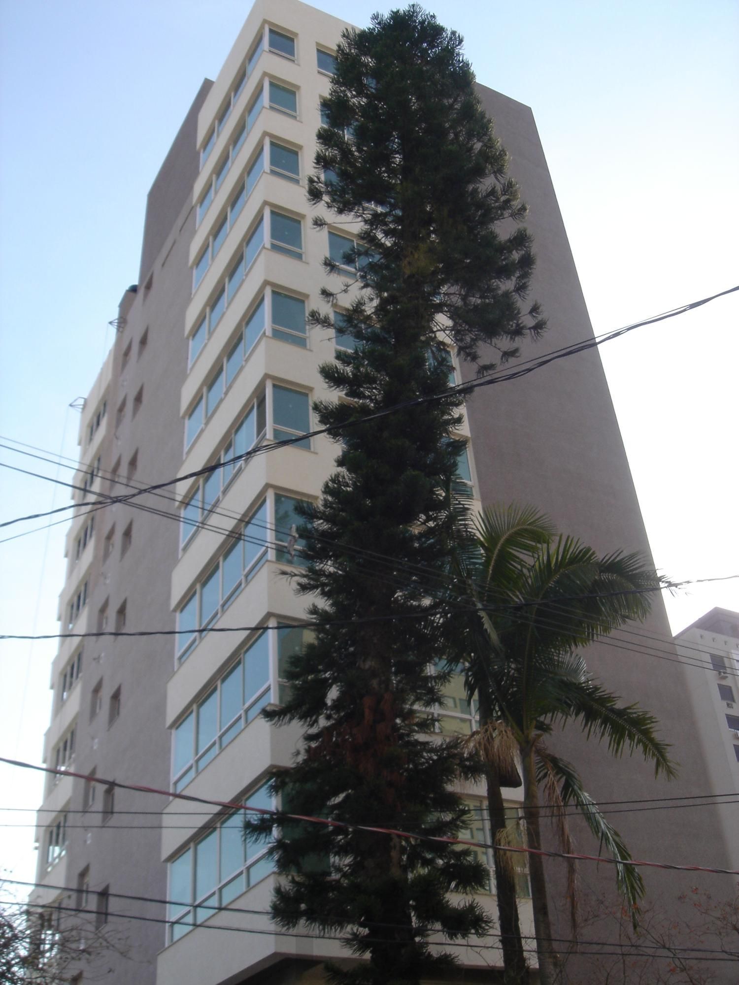 Apartamento 3 dormitórios à venda Passo da Areia Porto Alegre/RS — foto 1
