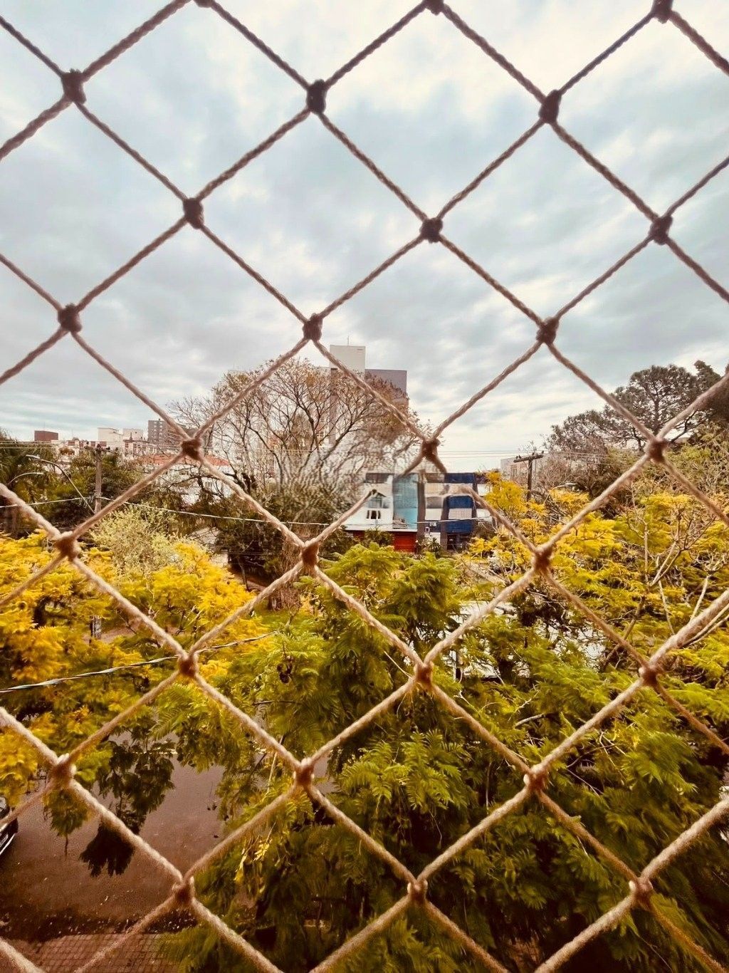 Excelente apartamento no bairro Menino Deus, com 3 dormitórios, transformado em 2 dormitórios, sendo 1 suíte e 1 vaga de garagem. — foto 20