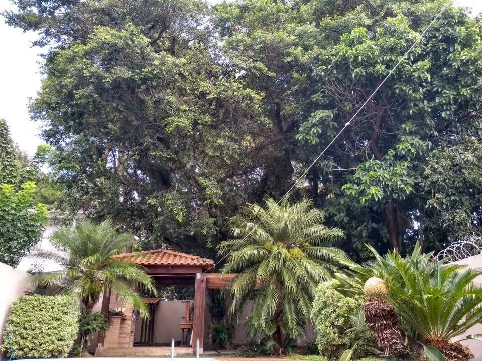 ótimo sobrado com 4 dormitórios, sendo 1 suíte master, pátio com piscina. — foto 17