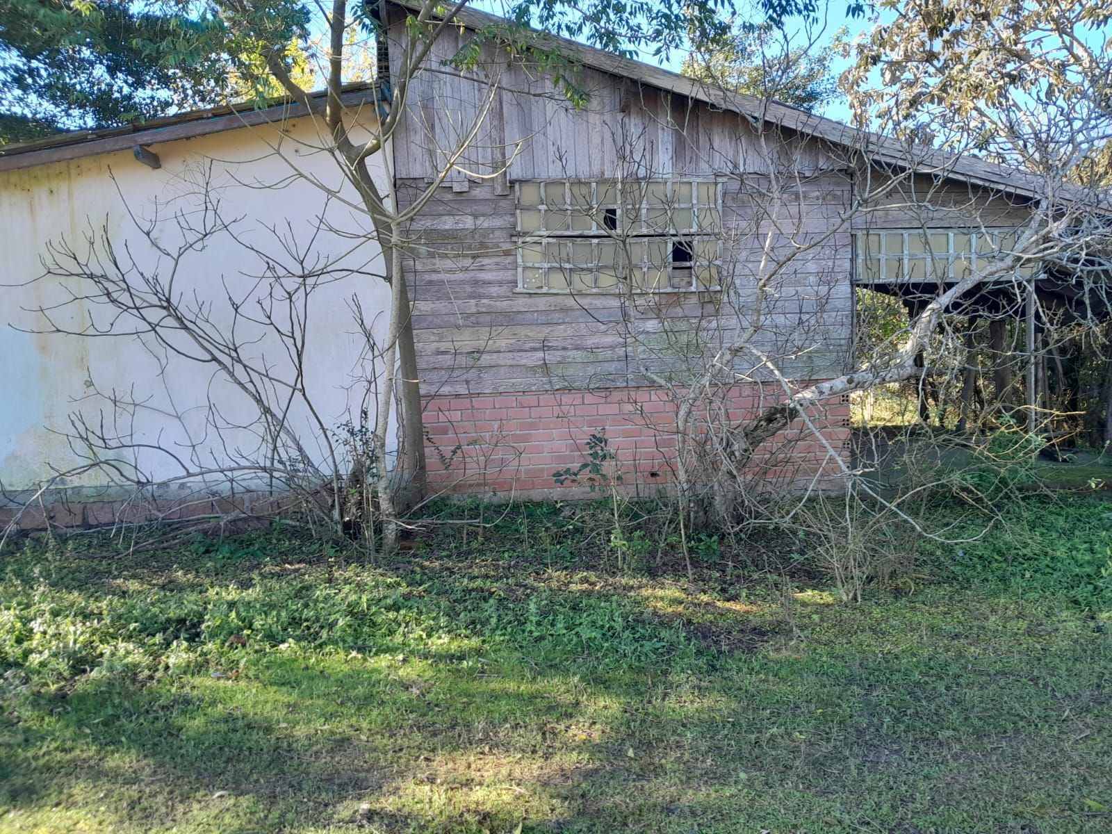 Ótimo sítio com 6.996,00m² — foto 11