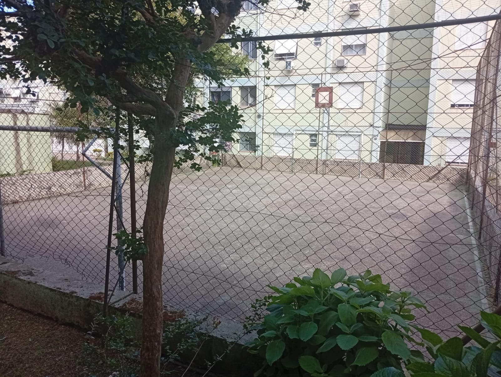 — foto 17