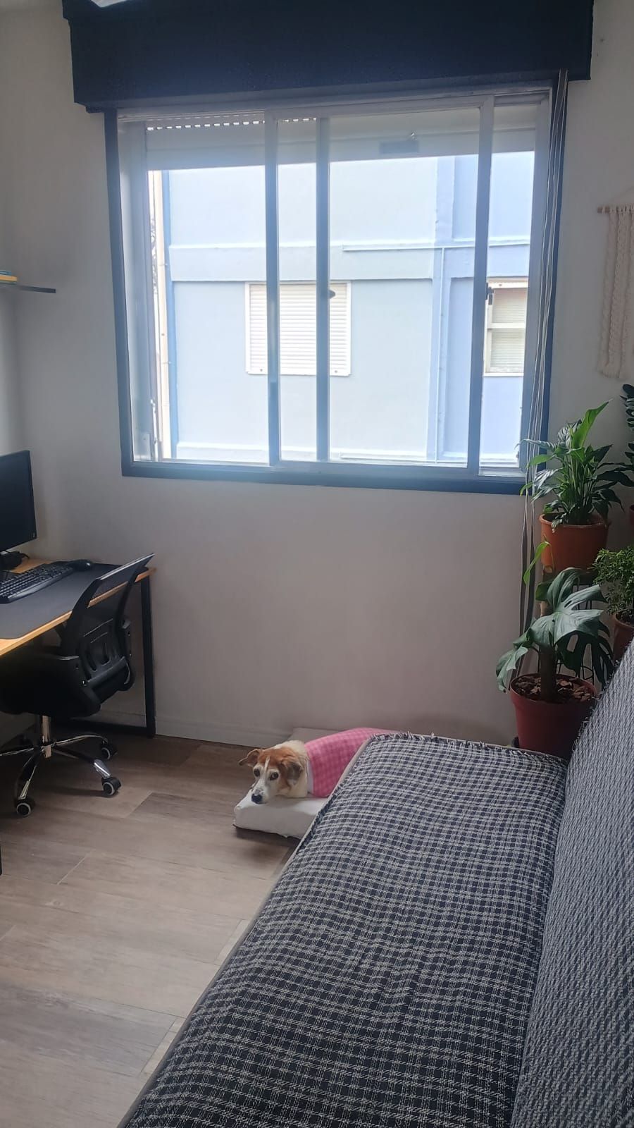 Excelente apartamento de 2 dormitórios no bairro Camaquã. — foto 35