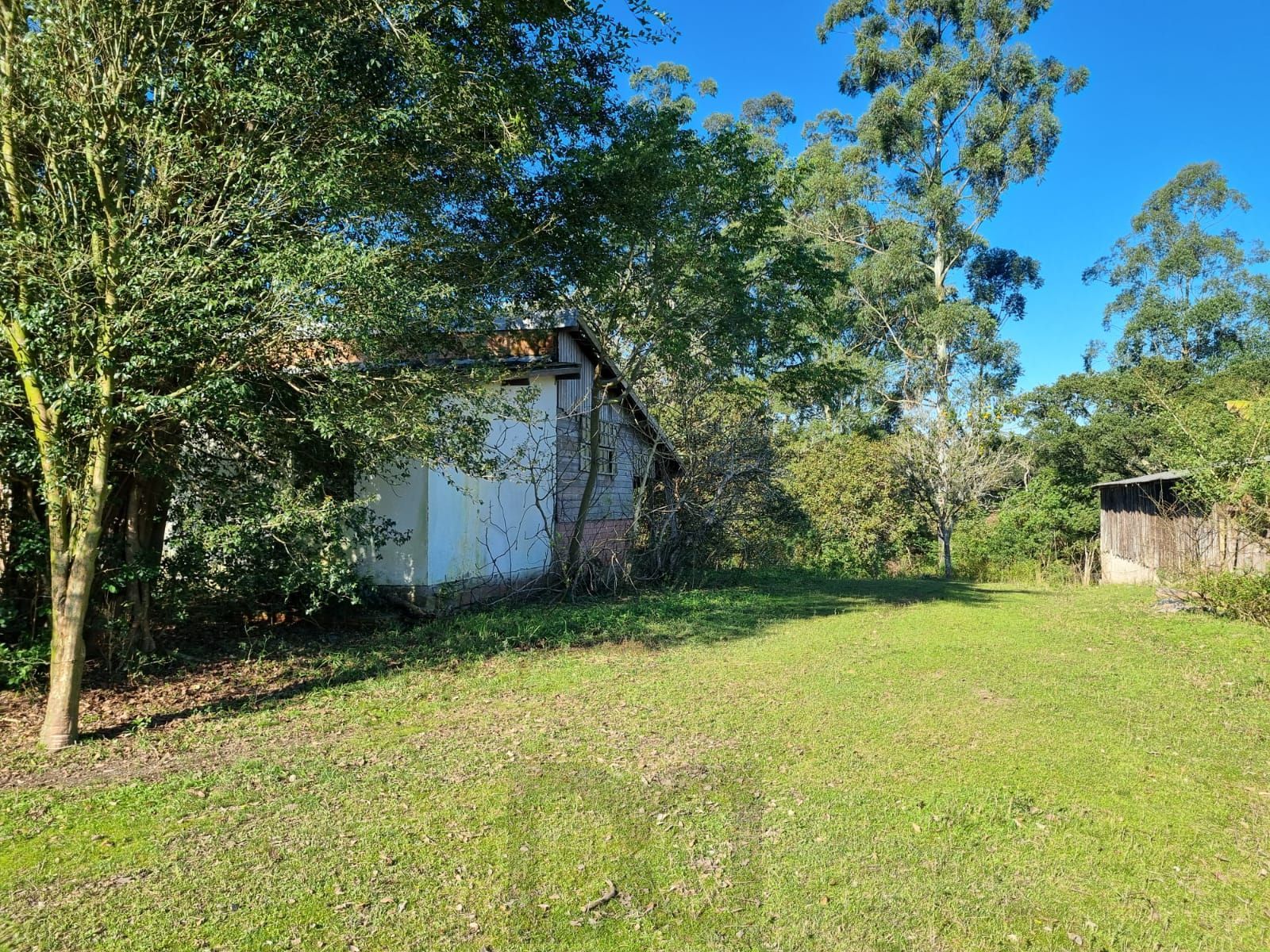 Ótimo sítio com 6.996,00m² — foto 12