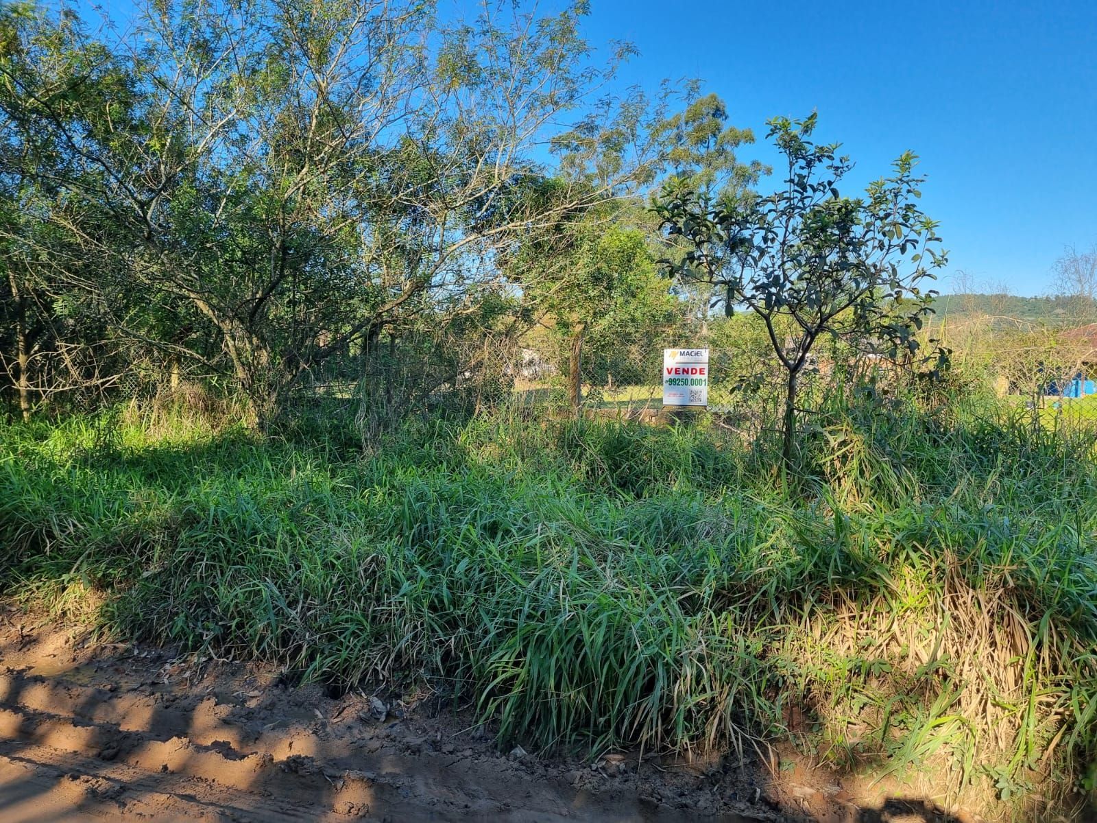 Ótimo sítio com 6.996,00m² — foto 23