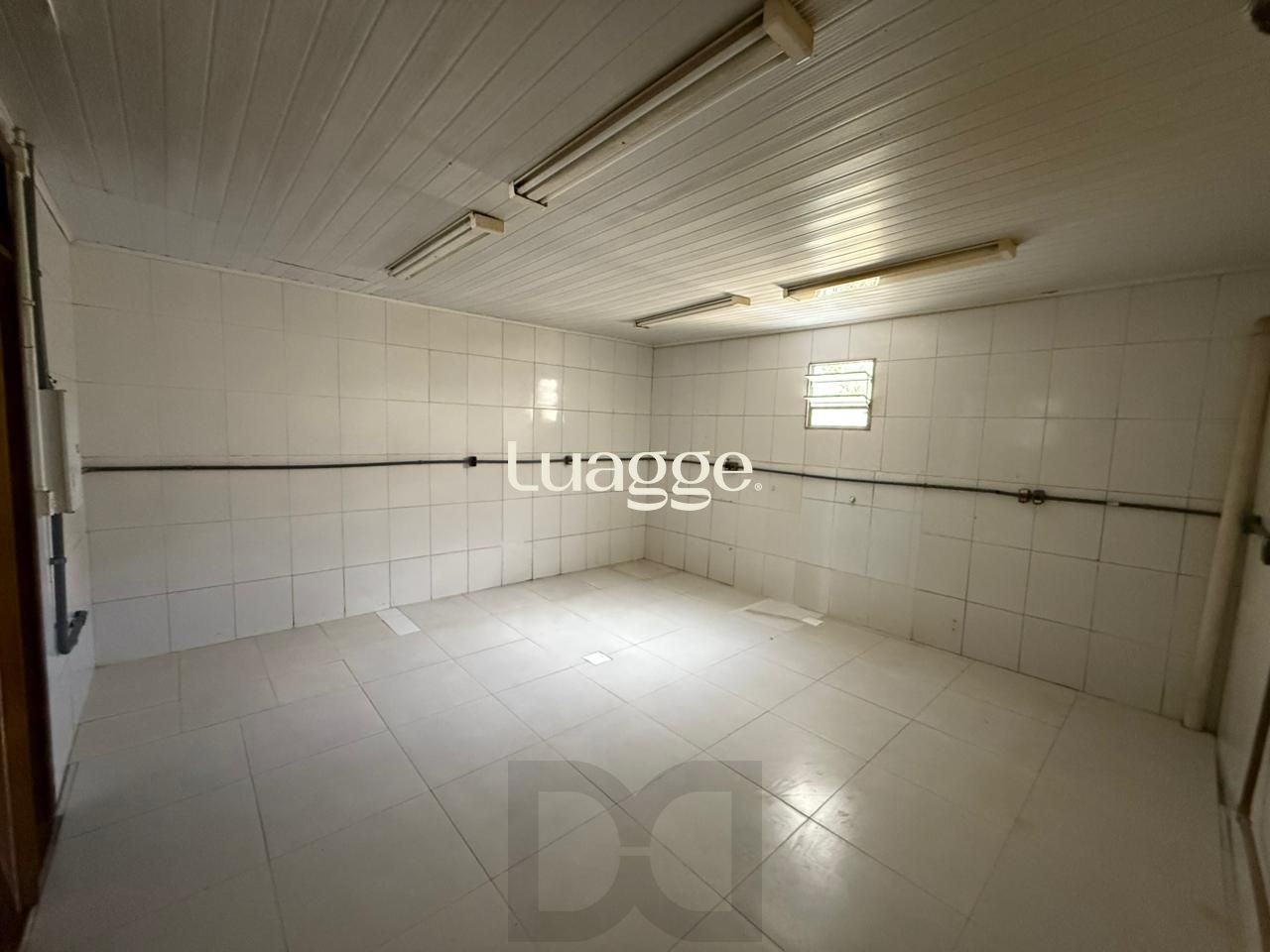 .jpeg+2026-02-12