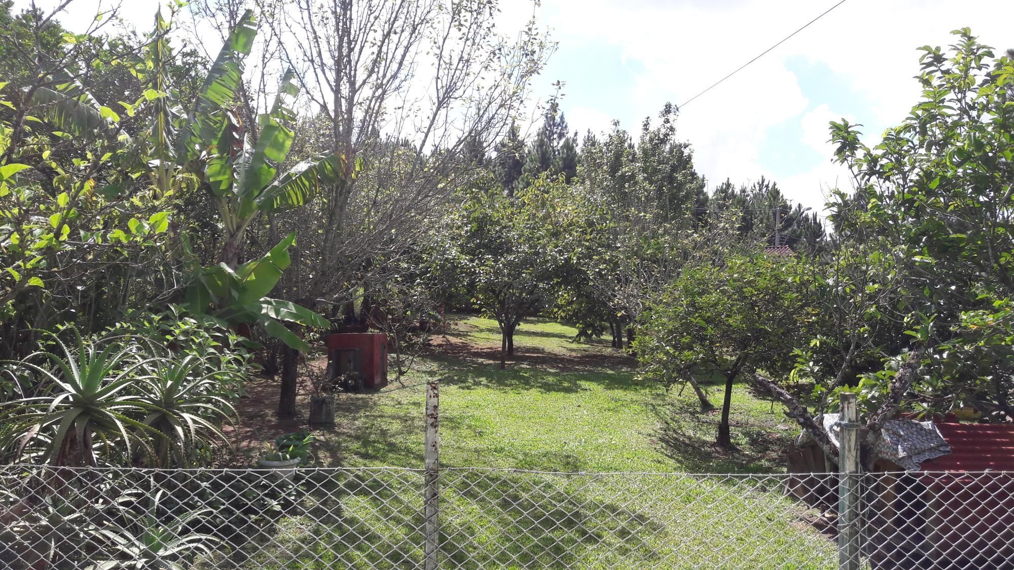 Ótima chacará em localização privilegiada. — foto 56