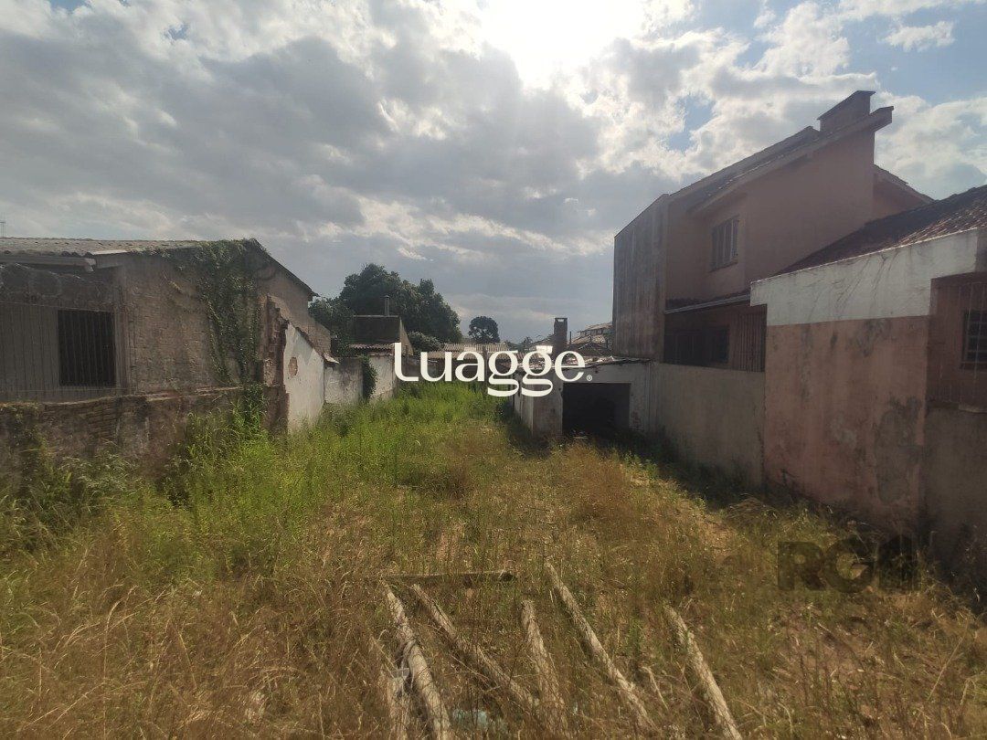 .jpg+2025-03-05