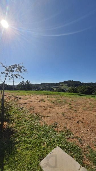 .jpg+2025-03-04