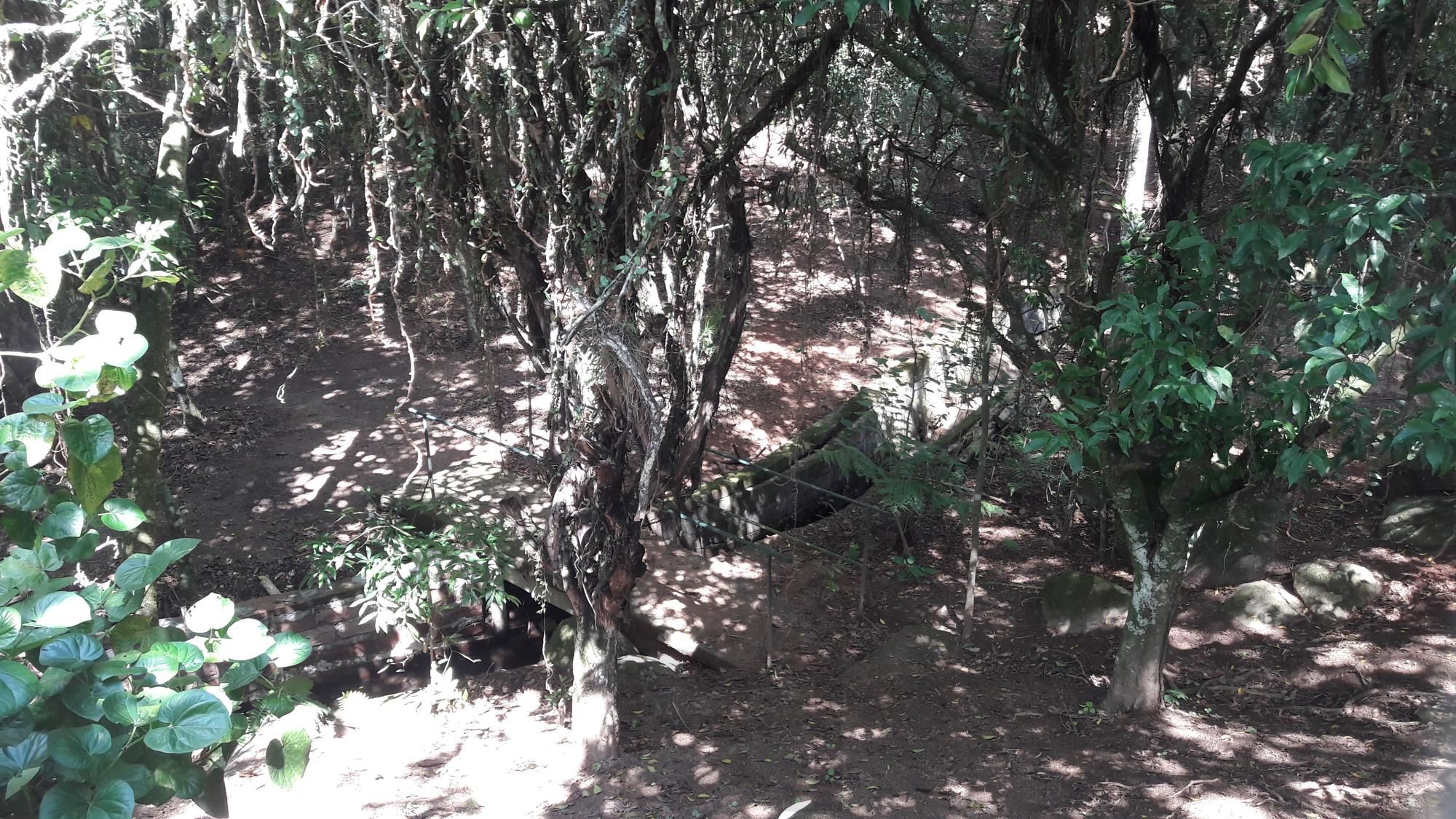 Ótima chacará em localização privilegiada. — foto 59